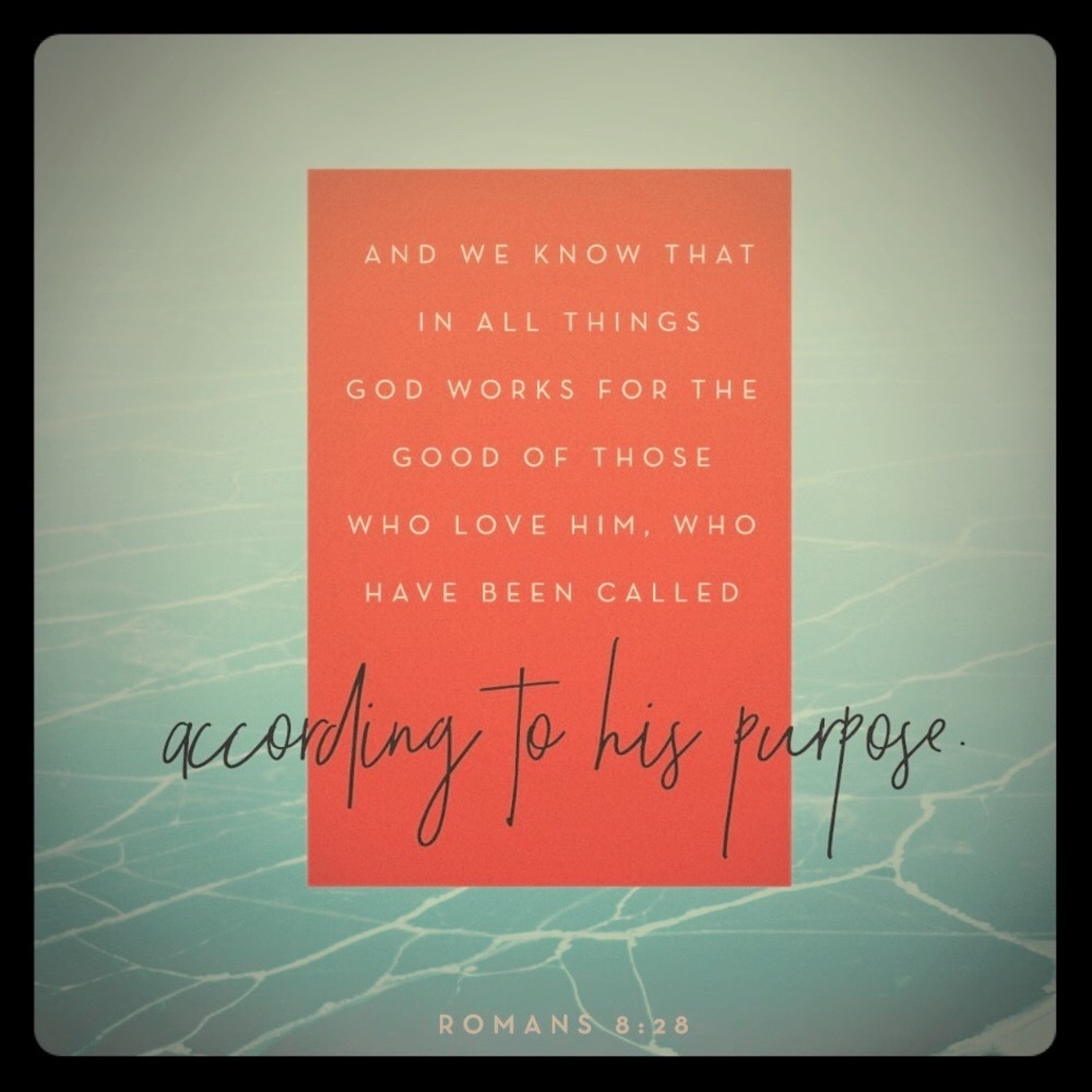 Bible verse